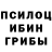 Галлюциногенные грибы Psilocybe Misty Yeargin