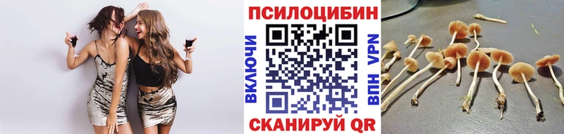 Галлюциногенные грибы прущие грибы  Купить закладки  Кремёнки 